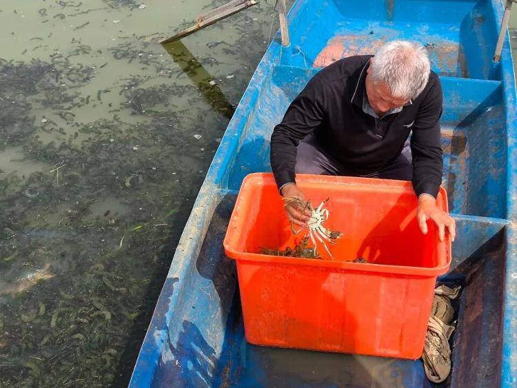 武汉江夏一地大闸蟹大量上市<strong></p>
<p>原油今日走势</strong>,日产1000斤当天售完,每只螃蟹有自己的“身份证”,吃深海小黄鱼长大