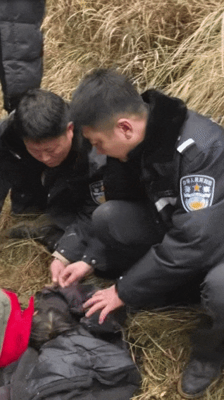 辽宁4岁女童称睡醒后自行下车，迷路后睡在草地，期间无人接触；其母发声