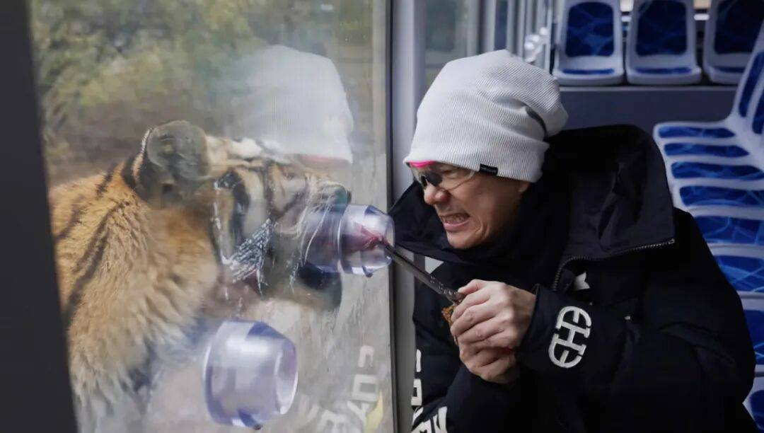 任贤齐打卡的哈尔滨<strong></p>
<p>中国石化中原油田</strong>,到底有多好玩?