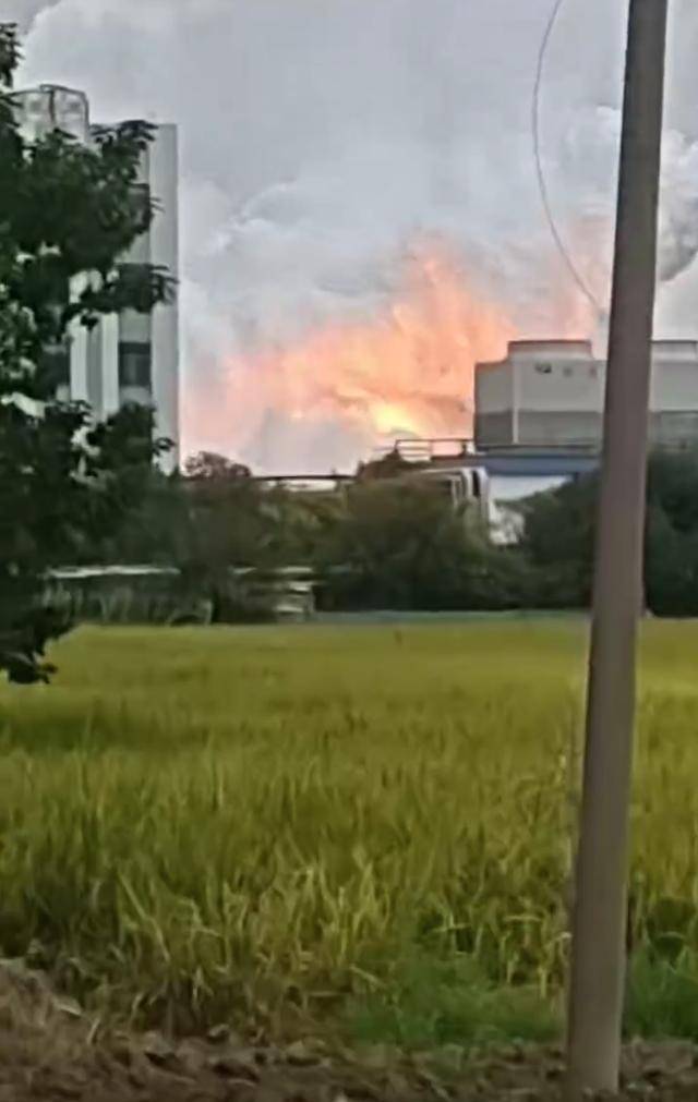 澄星股份工厂发生火灾？附近酒店：已灭火<strong></p>
<p>中国石化中原油田</strong>，有刺激性气味，建议不开窗