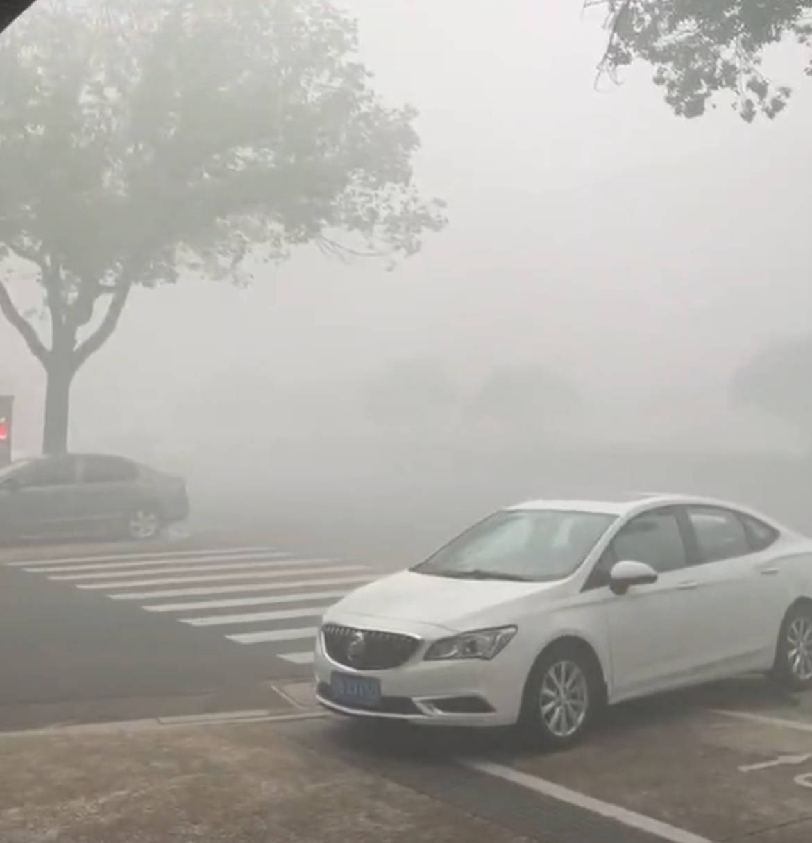 江苏一化工厂发生火灾<strong></p>
<p>中国石化中原油田</strong>，现场燃起冲天浓烟街道被烟雾笼罩，当地：将通报，未致人员伤亡