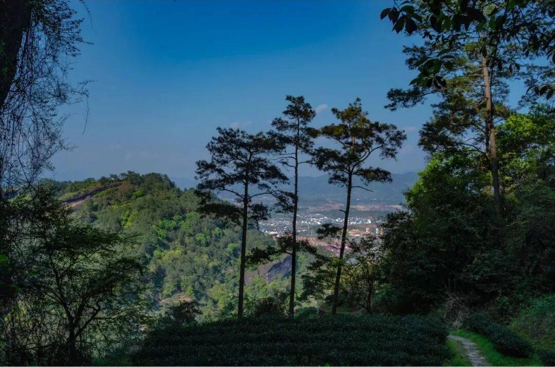 为什么年轻人迷上了爬山? | 秋高气爽<strong></p>
<p>美原油06</strong>,是时候出发了→