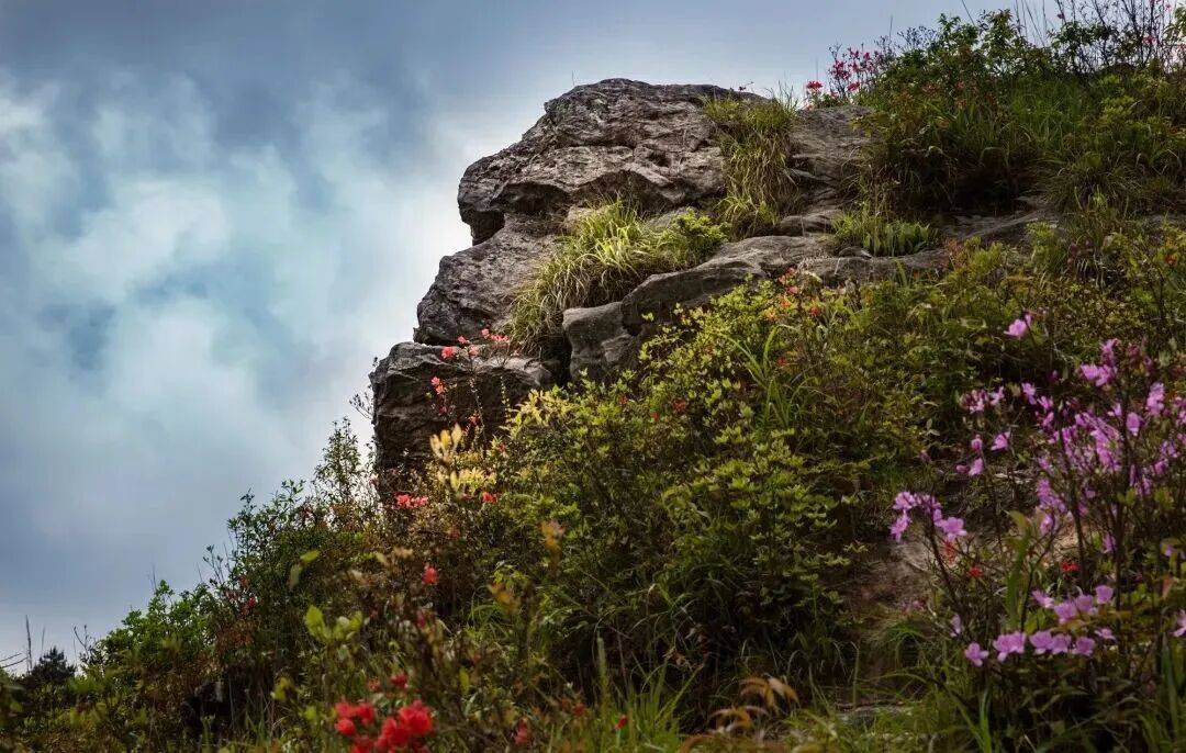 为什么年轻人迷上了爬山? | 秋高气爽<strong></p>
<p>美原油06</strong>,是时候出发了→