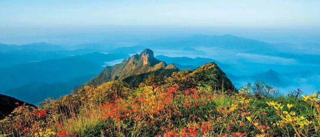 为什么年轻人迷上了爬山? | 秋高气爽<strong></p>
<p>美原油06</strong>,是时候出发了→