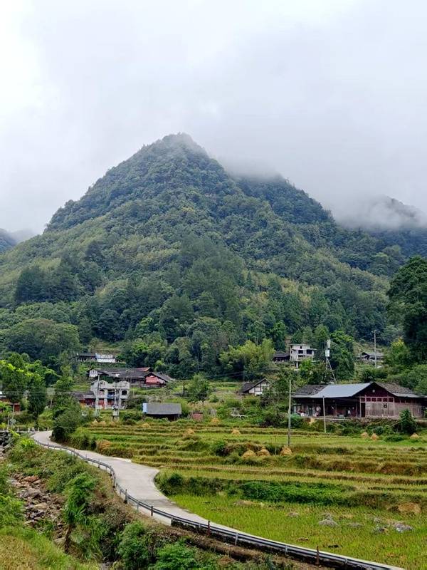 推窗见梯田<strong></p>
<p>美原油06</strong>!梧桐山民宿:把日子过成诗