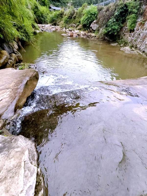 推窗见梯田<strong></p>
<p>美原油06</strong>!梧桐山民宿:把日子过成诗