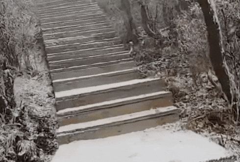 石家庄下雪了<strong></p>
<p>美原油现货</strong>!河北雨雪上线!新一股冷空气在路上……