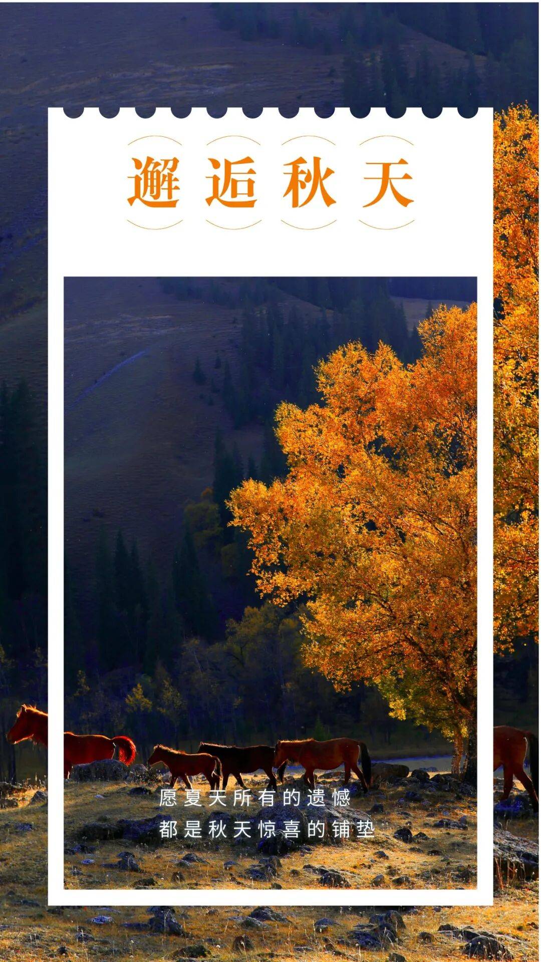 邂逅博州的秋天<strong></p>
<p>美原油现货</strong>，从从容容游刃有余