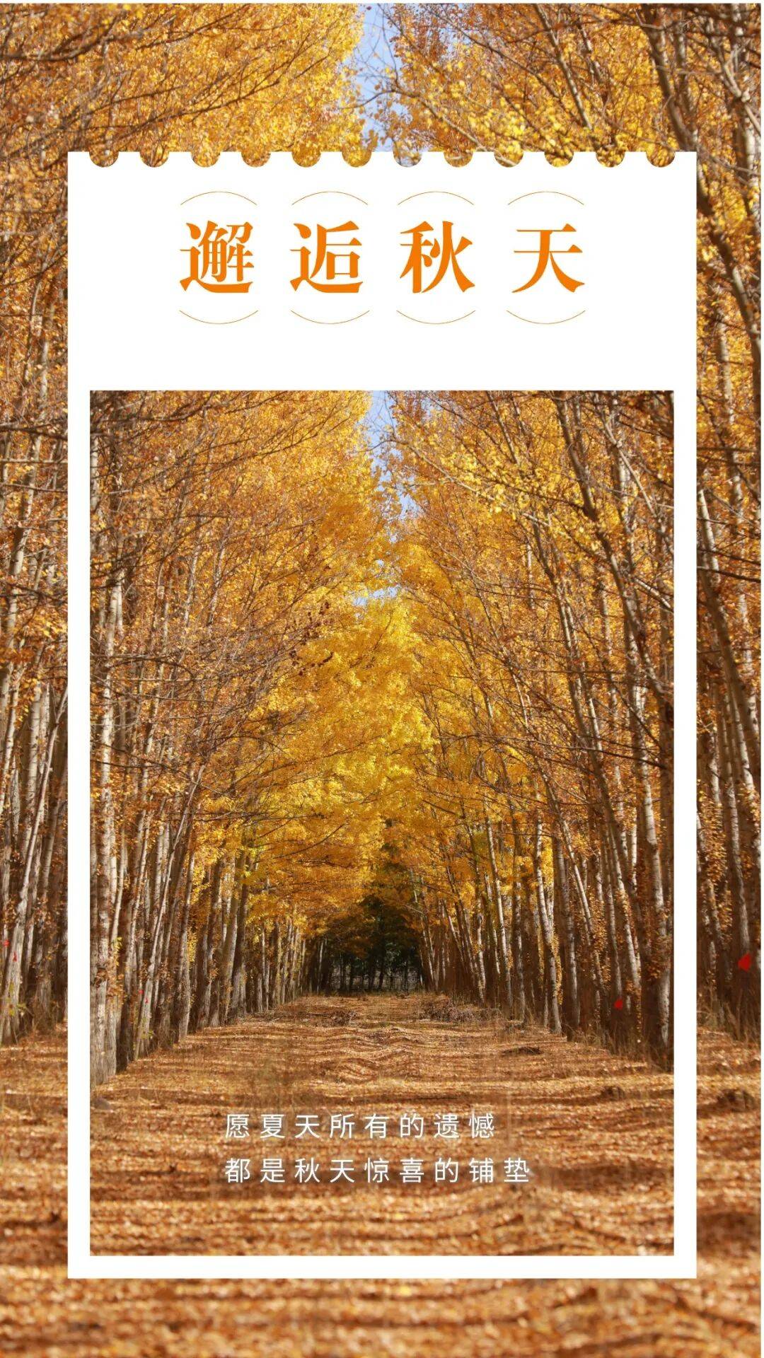 邂逅博州的秋天<strong></p>
<p>美原油现货</strong>，从从容容游刃有余