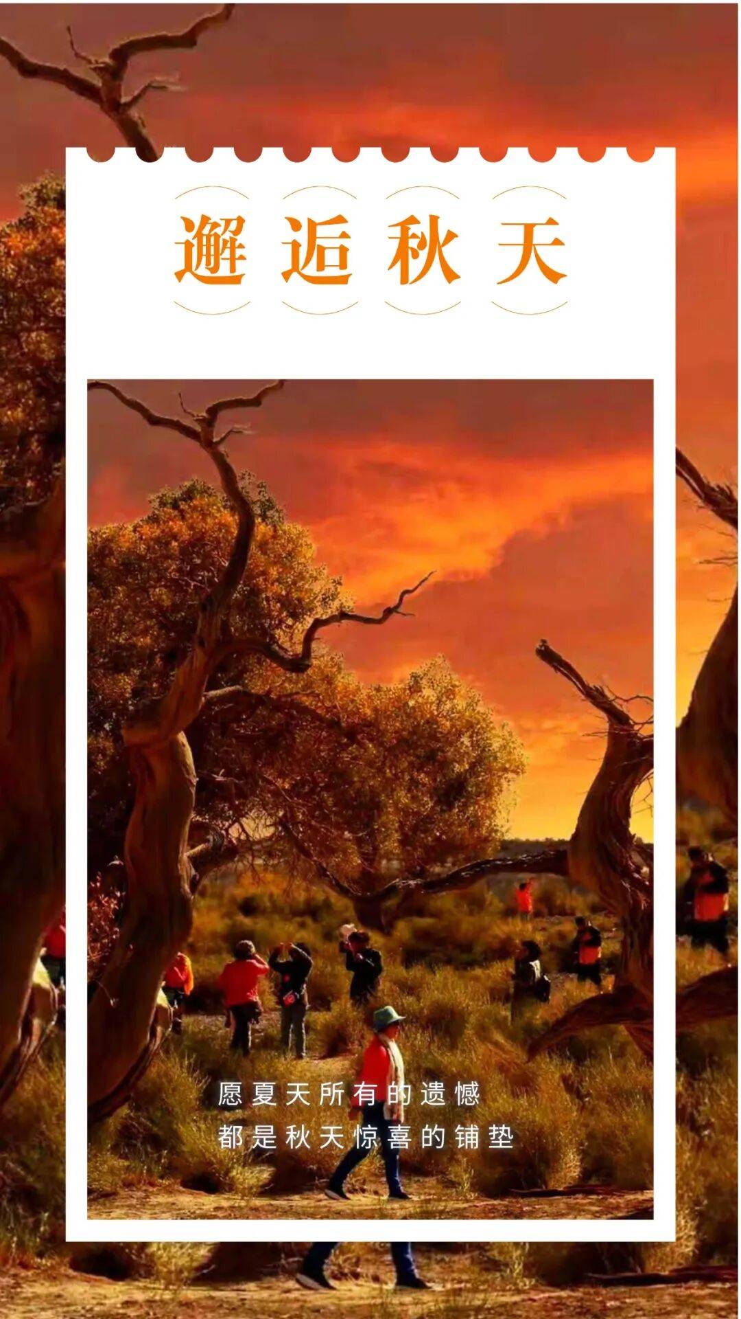 邂逅博州的秋天<strong></p>
<p>美原油现货</strong>，从从容容游刃有余