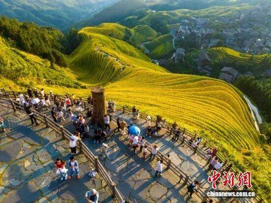 金秋<strong></p>
<p>美原油现货</strong>，广西的梯田一点不输！
