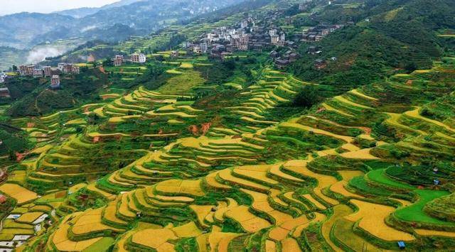 金秋<strong></p>
<p>美原油现货</strong>，广西的梯田一点不输！