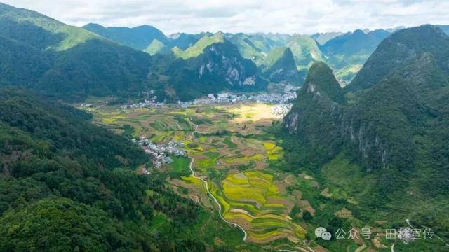 金秋<strong></p>
<p>美原油现货</strong>，广西的梯田一点不输！