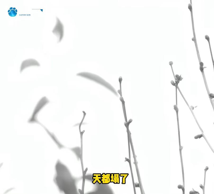 “天塌了<strong></p>
<p>现货美原油</strong>，我一生都毁了”，男子称养了20年才发现儿子非亲生！前妻坚决否认