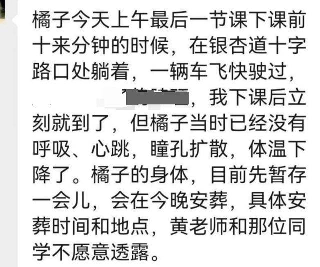 《红舞鞋》剧组在高校拍摄时撞死流浪猫<strong></p>
<p>现货美原油</strong>,剧组凌晨致歉:涉事司机引咎辞职,将以小猫名字成立基金