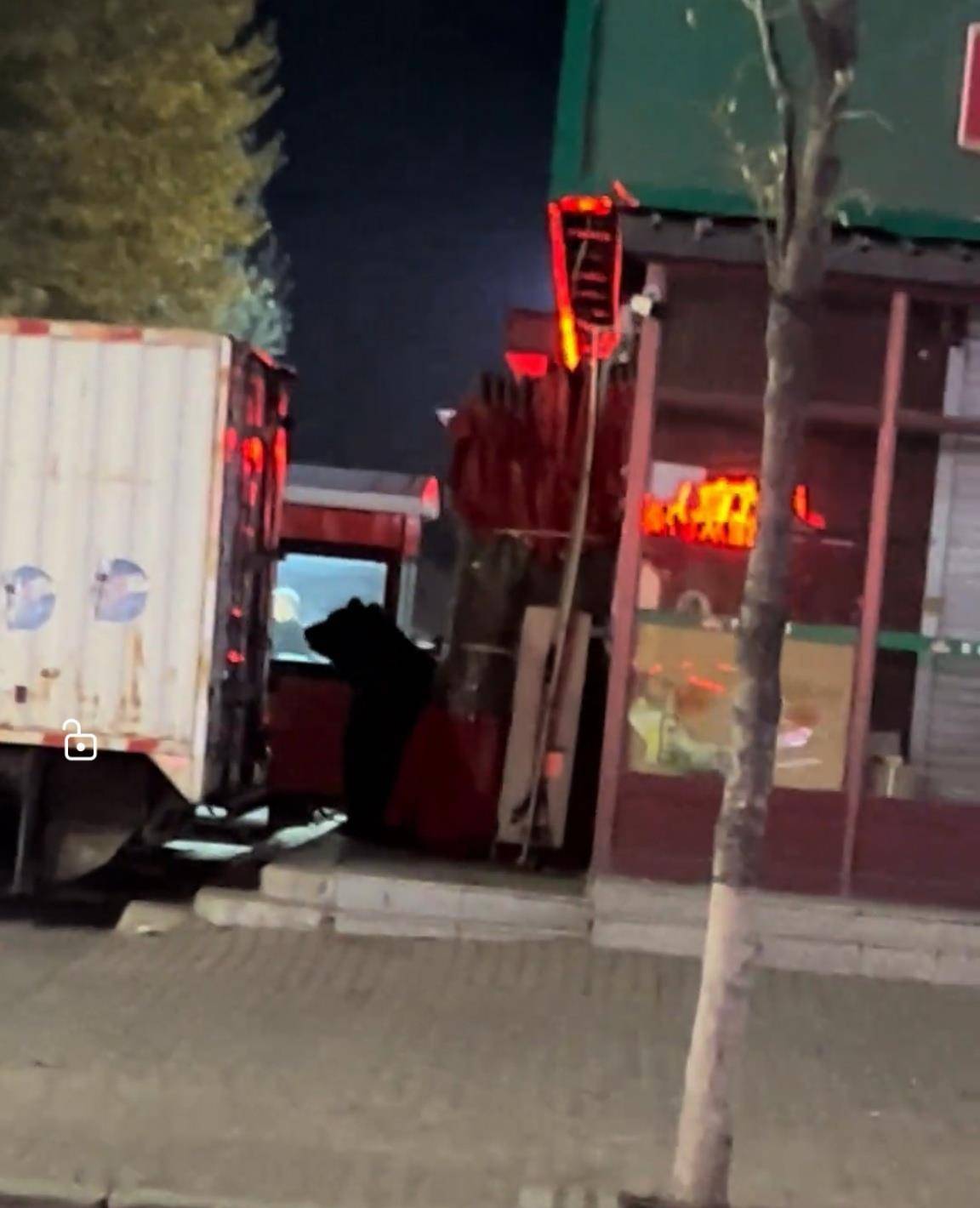 大黑熊夜里独闯黑龙江一县城闹市区<strong></p>
<p>现货美原油</strong>,警方连开10多枪击毙,回应为何没用麻醉枪