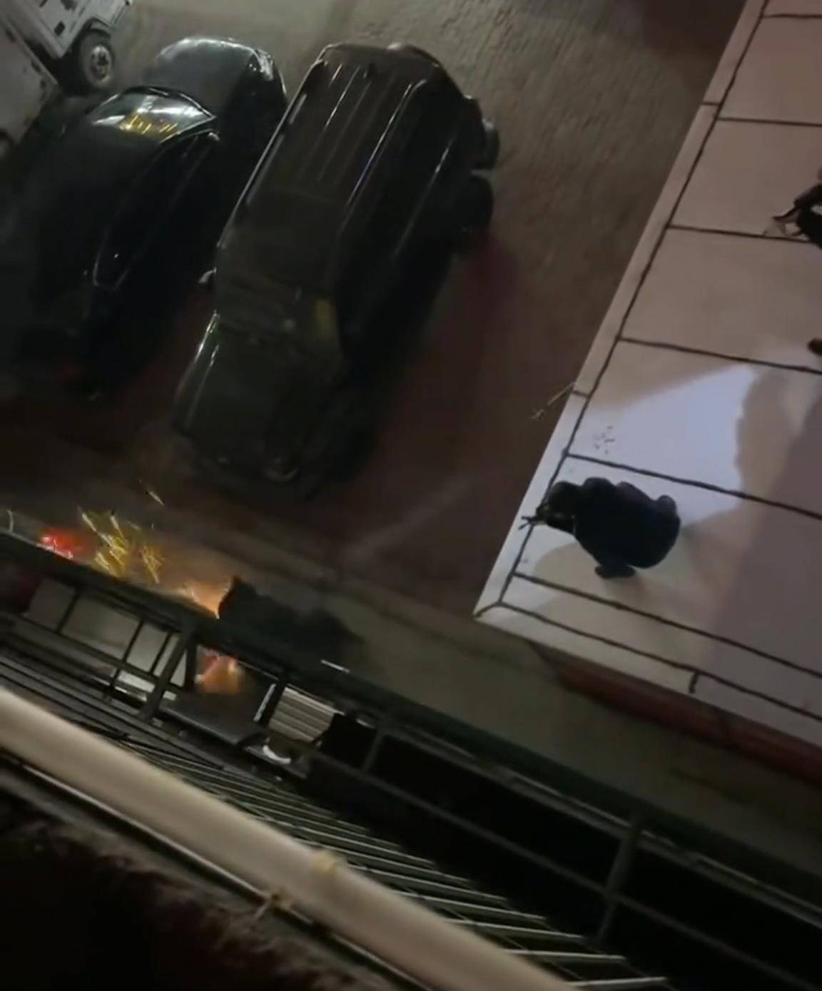 大黑熊夜里独闯黑龙江一县城闹市区<strong></p>
<p>现货美原油</strong>,警方连开10多枪击毙,回应为何没用麻醉枪