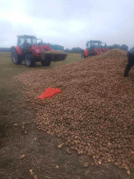 波兰68岁农民收获的150吨土豆被一夜搬空<strong></p>
<p>原油与股票</strong>, 只因帖子遭篡改