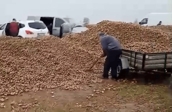 波兰68岁农民收获的150吨土豆被一夜搬空<strong></p>
<p>原油与股票</strong>, 只因帖子遭篡改