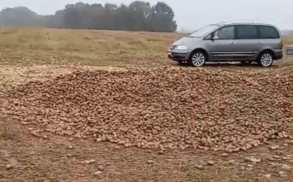 波兰68岁农民收获的150吨土豆被一夜搬空<strong></p>
<p>原油与股票</strong>, 只因帖子遭篡改