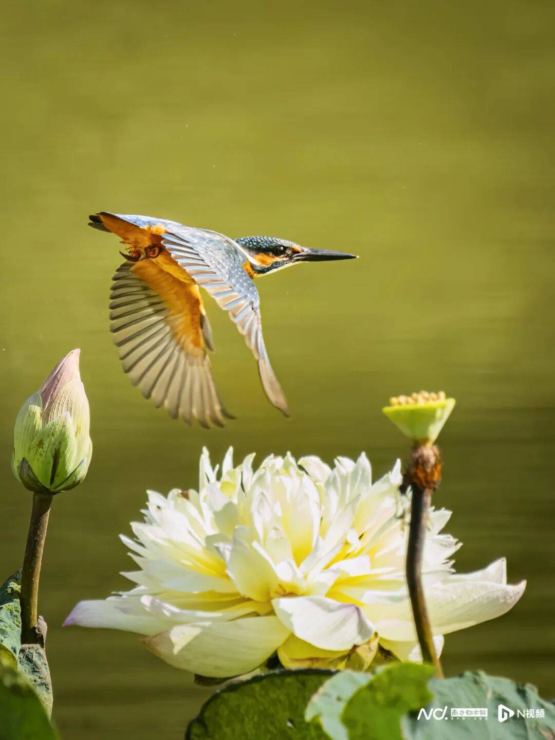 东莞最新发布：将严厉打击这些行为<strong></p>
<p>中信证券无券可融</strong>！