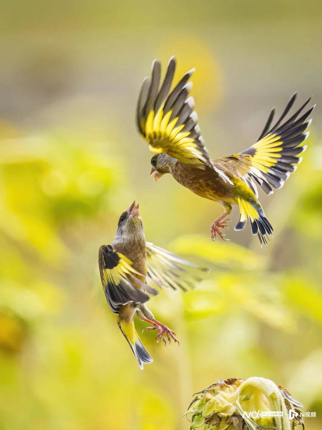 东莞最新发布：将严厉打击这些行为<strong></p>
<p>中信证券无券可融</strong>！