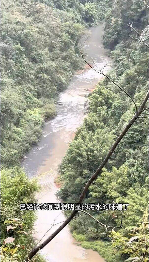 重庆通报:坚决查处<strong></p>
<p>华林证券通达信行情</strong>,绝不姑息