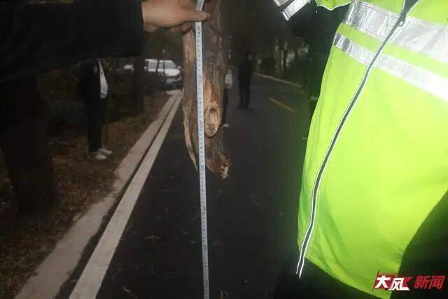 陕西兴平56岁女教师骑电动车“撞树枝”身亡<strong></p>
<p>华融证券小微融</strong>,交警判定担主责,家属提出诸多质疑,多方回应