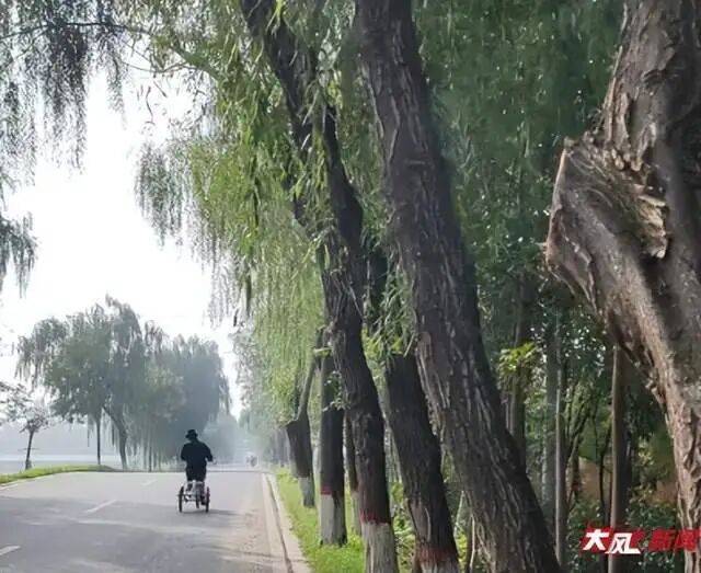 陕西兴平56岁女教师骑电动车“撞树枝”身亡<strong></p>
<p>华融证券小微融</strong>,交警判定担主责,家属提出诸多质疑,多方回应