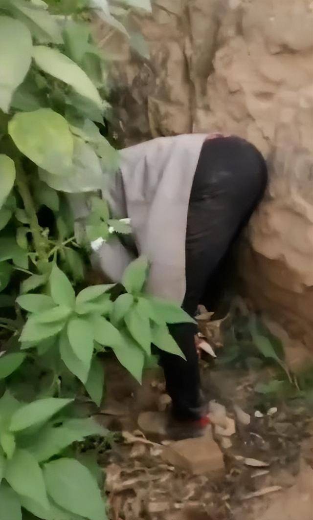 陕西一女子疑因拍亲姑姑偷玉米遭姑父棍杀<strong></p>
<p>盈透证券</strong>，邻居欲报警也遇害