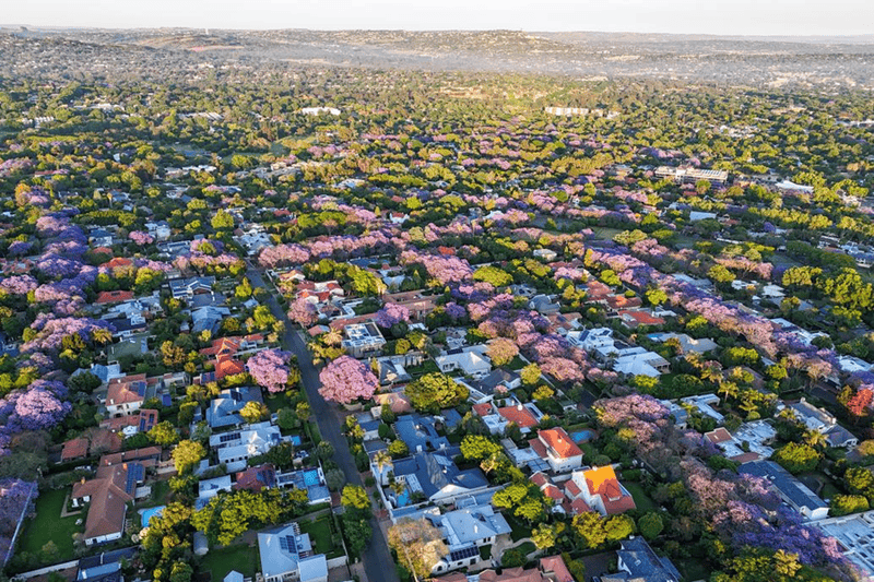热点追踪｜第二十次G20峰会