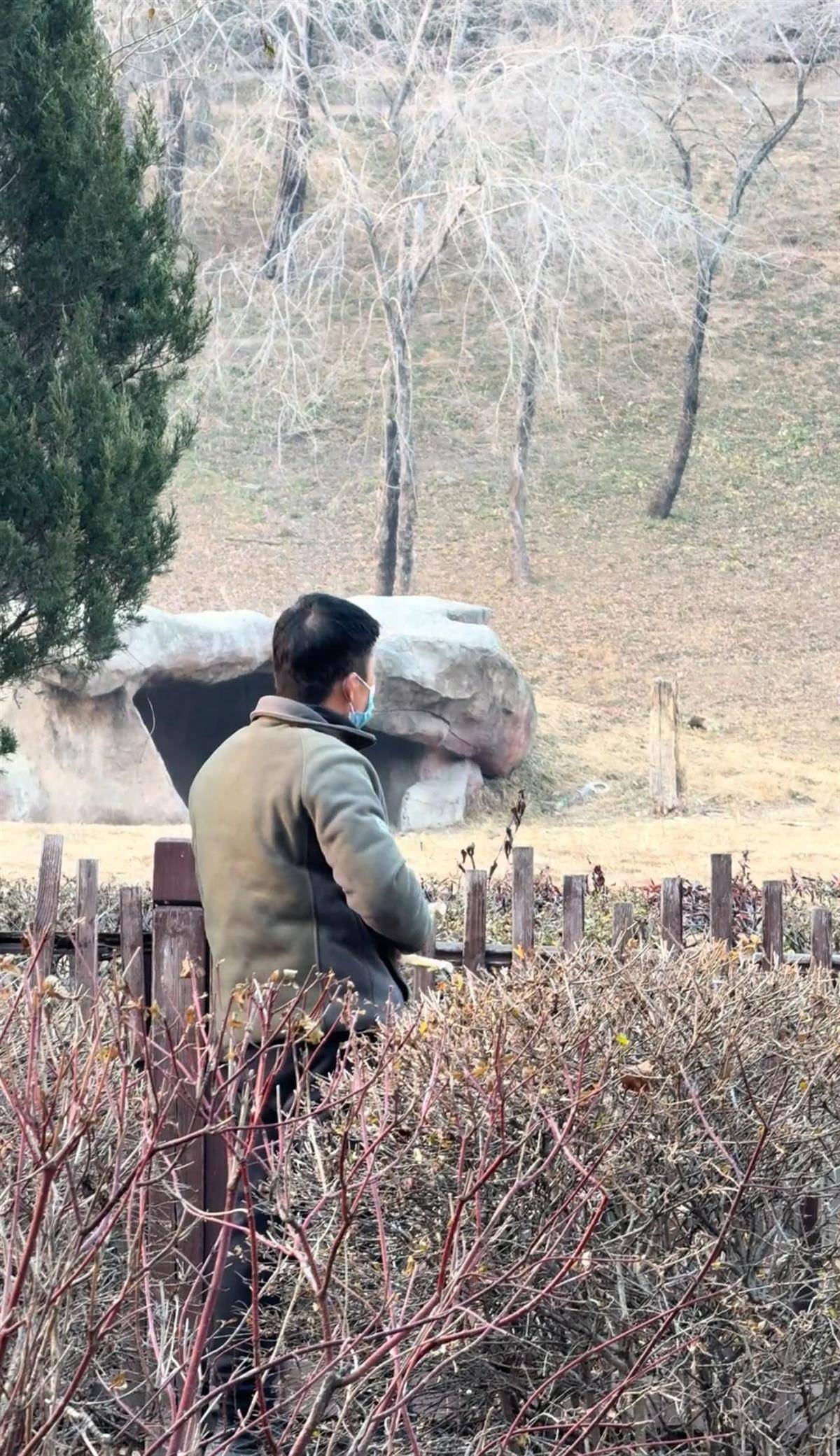 沈阳一男子动物园内用弹弓射老虎<strong></p>
<p>安全设备</strong>,目击者称其“填装了弹丸”,打完后老虎爬起来了,园方:正在核实情况