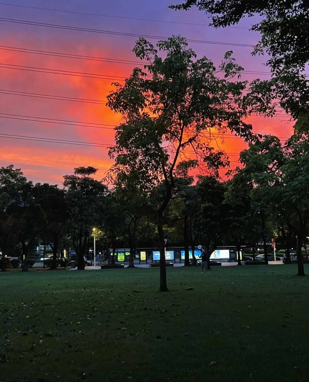 第一批丁克老后<strong></p>
<p>安全设备</strong>，“伴侣能陪一程，但最后都要靠自己”