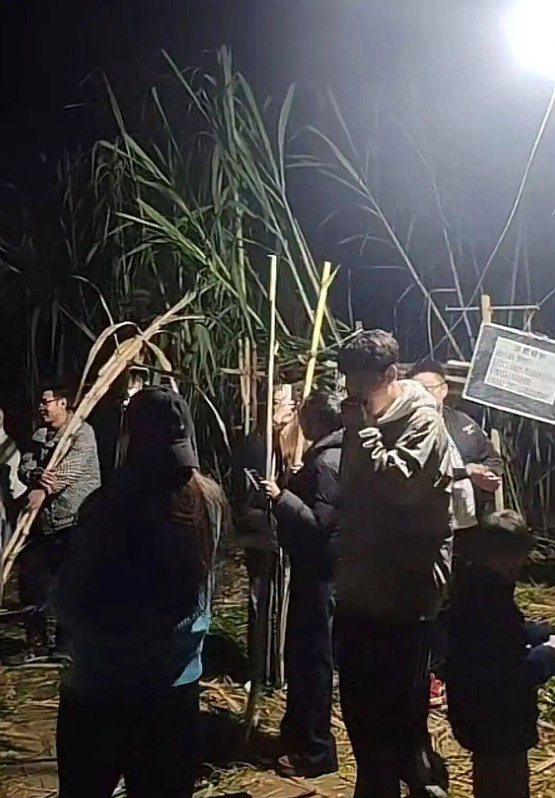 四川眉山“偷甘蔗农场”爆火！增设2.99元入场费后<strong></p>
<p>安全设备</strong>，地里仍来了上千游客，“偷甘蔗”被逮到的人要表演才艺，老板：日销售有时近万元