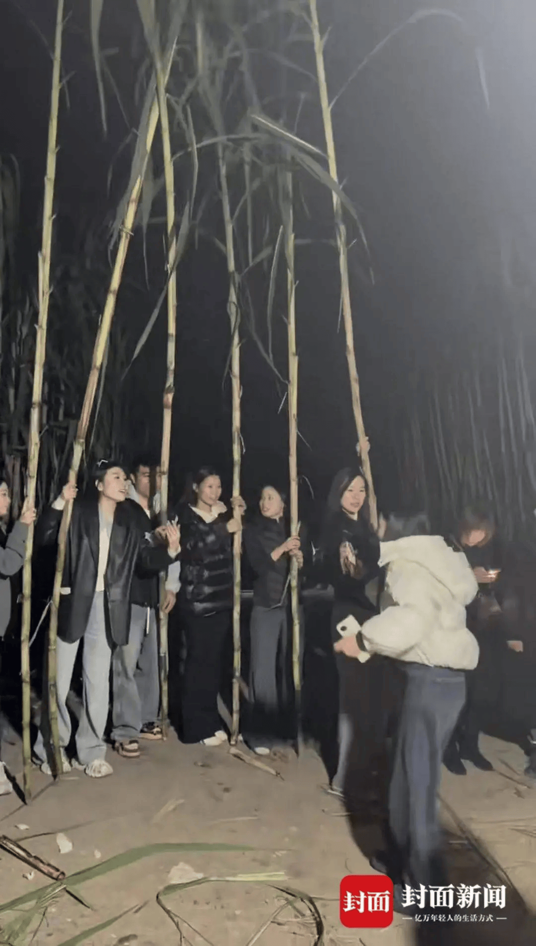 四川眉山“偷甘蔗农场”爆火！增设2.99元入场费后<strong></p>
<p>安全设备</strong>，地里仍来了上千游客，“偷甘蔗”被逮到的人要表演才艺，老板：日销售有时近万元