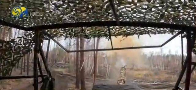 俄军透露红军城市区作战细节<strong></p>
<p>证券分析师陈建平</strong>，乌军战斗骨干躲入地下管道