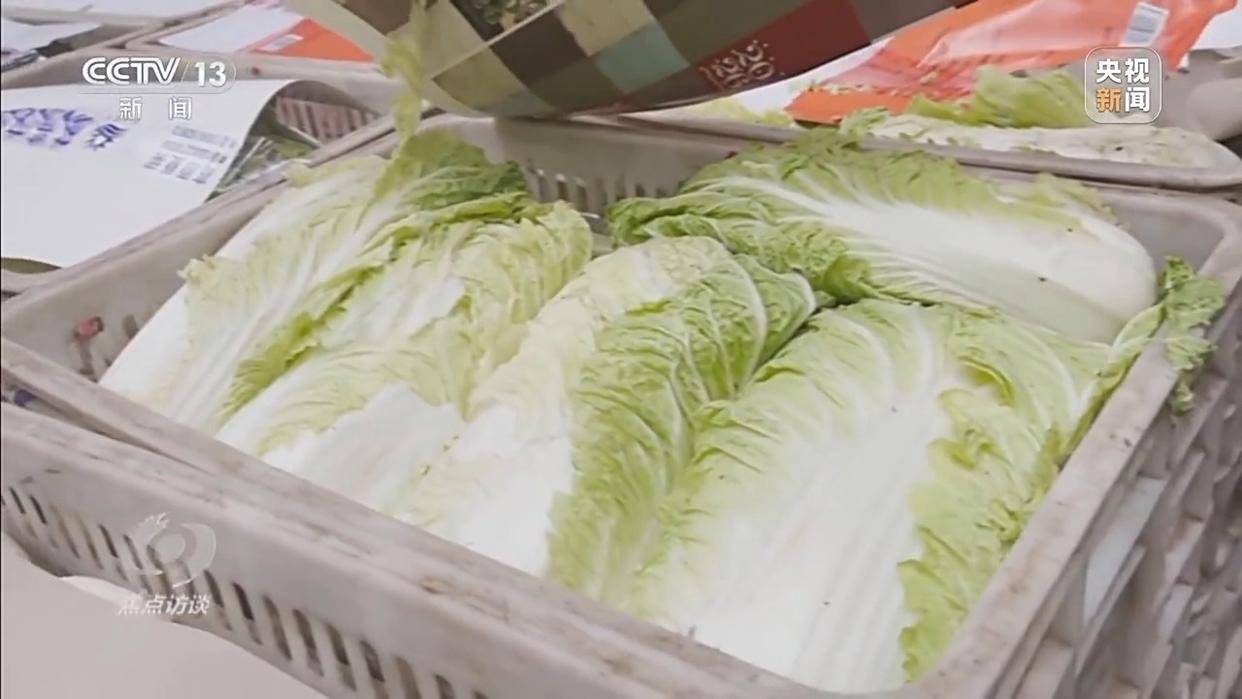 单棵售价超百元<strong></p>
<p>国元证券融资融券门槛</strong>,起底“套牌白菜”背后的销售套路