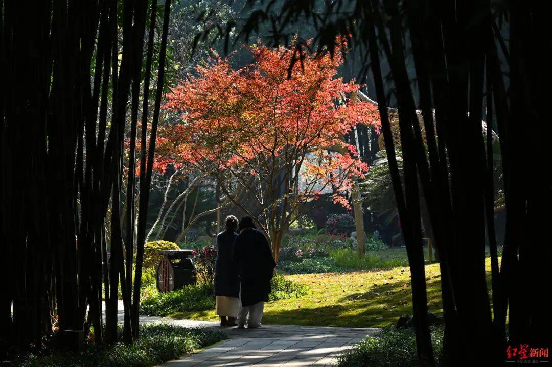 我国已进入拉尼娜状态<strong></p>
<p>德传附子证券投资基金</strong>!四川今冬或“前暖后冷”