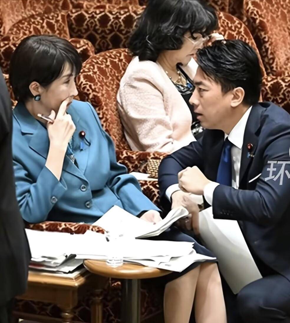 小泉进次郎跪地与高市早苗交谈<strong></p>
<p>德传附子证券投资基金</strong>，企图为高市发声，遭在野党强烈嘘声