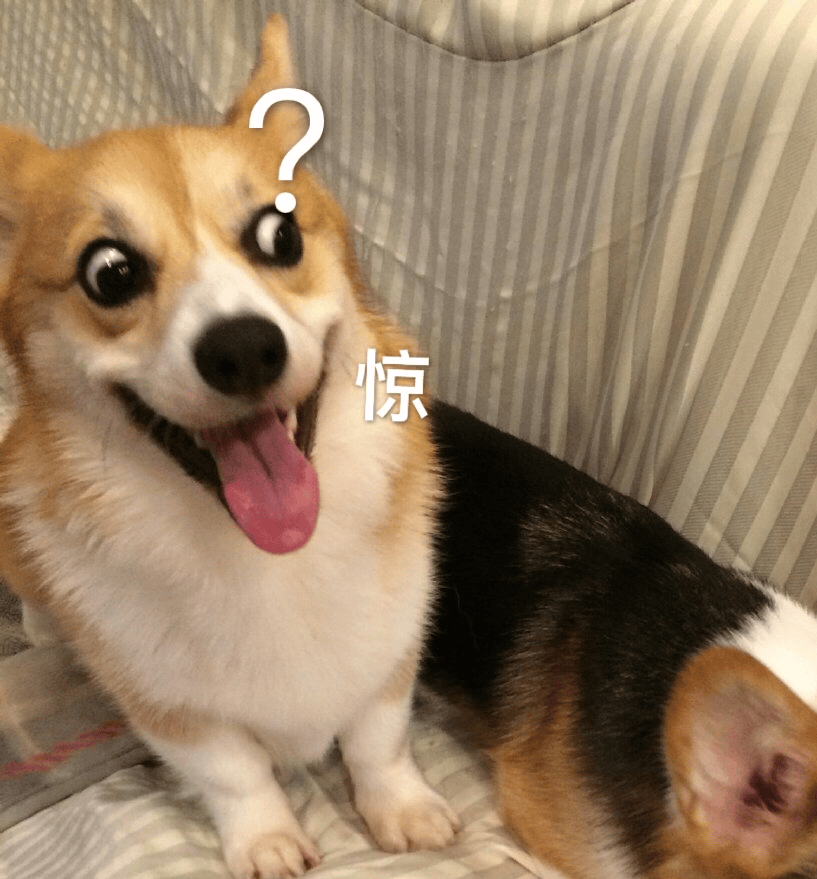 广东将出现冰冻！冷空气杀到<strong></p>
<p>衢州证券公司哪家好</strong>，深圳最低温仅10℃！还有大风+降雨