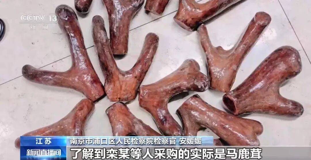 老人不买天价鹿茸被一脚踹翻<strong></p>
<p>证券公司员工开户</strong>，南京一团伙暴力威逼老人买单，100多人被骗，涉案金额90余万元，多数老人乖乖回家拿钱，甚至被逼去银行取款